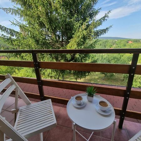 Vila Hoopovo House Fruska Gora Irig Exteriér fotografie