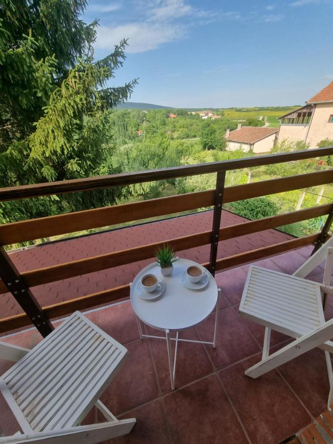 Vila Hoopovo House Fruska Gora Irig Exteriér fotografie