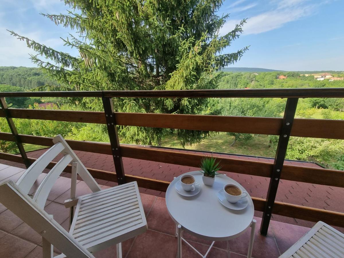 Vila Hoopovo House Fruska Gora Irig Exteriér fotografie