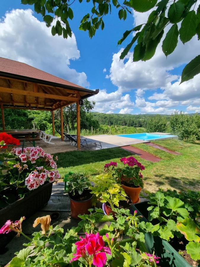 Vila Hoopovo House Fruska Gora Irig Exteriér fotografie